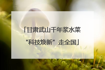 甘肃武山千年浆水菜“科技焕新”走全国