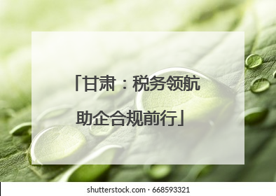 甘肃：税务领航 助企合规前行