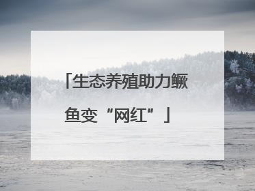生态养殖助力鳜鱼变“网红”