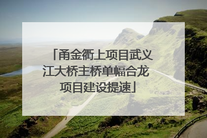 甬金衢上项目武义江大桥主桥单幅合龙 项目建设提速