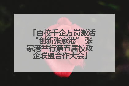 百校千企万岗激活“创新张家港” 张家港举行第五届校政企联盟合作大会