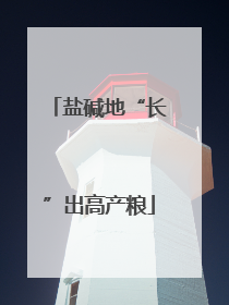 盐碱地“长”出高产粮