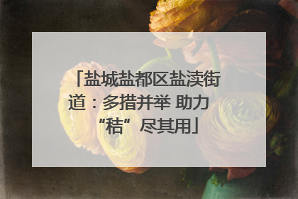 盐城盐都区盐渎街道：多措并举 助力“秸”尽其用