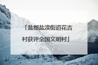 盐都盐渎街道花吉村获评全国文明村