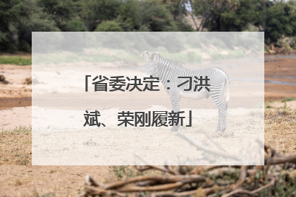 省委决定：刁洪斌、荣刚履新