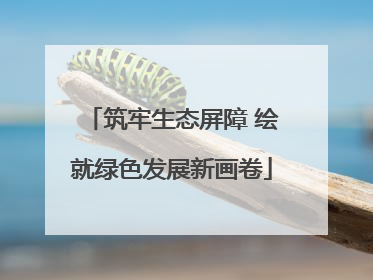 筑牢生态屏障 绘就绿色发展新画卷