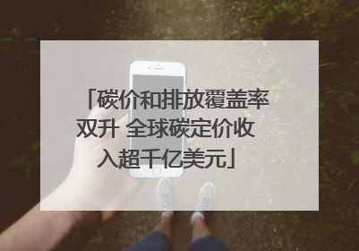 碳价和排放覆盖率双升 全球碳定价收入超千亿美元