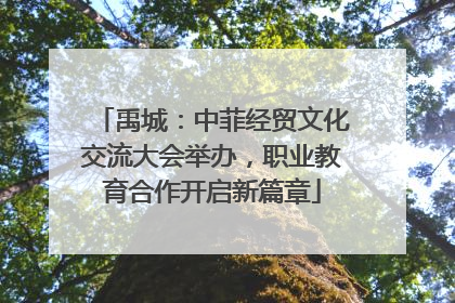 禹城：中菲经贸文化交流大会举办，职业教育合作开启新篇章