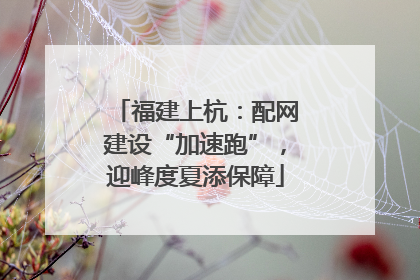 福建上杭：配网建设“加速跑”，迎峰度夏添保障