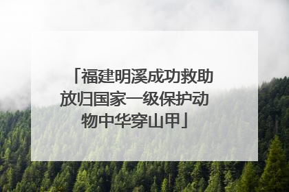 福建明溪成功救助放归国家一级保护动物中华穿山甲