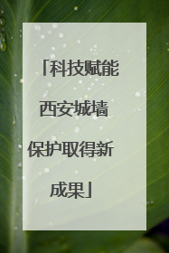 科技赋能 西安城墙保护取得新成果