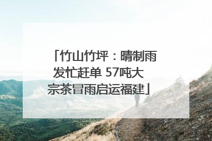 竹山竹坪：晴制雨发忙赶单 57吨大宗茶冒雨启运福建