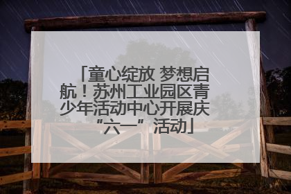 童心绽放 梦想启航！苏州工业园区青少年活动中心开展庆“六一”活动
