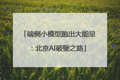 端侧小模型跑出大能量：北京AI破壁之路