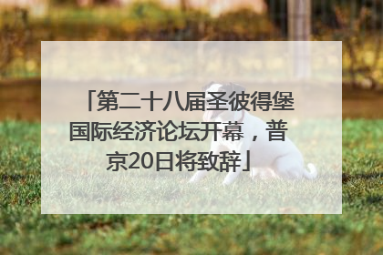 第二十八届圣彼得堡国际经济论坛开幕，普京20日将致辞