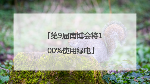 第9届南博会将100%使用绿电