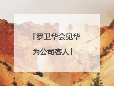 罗卫华会见华为公司客人