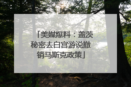 美媒爆料：盖茨秘密去白宫游说撤销马斯克政策