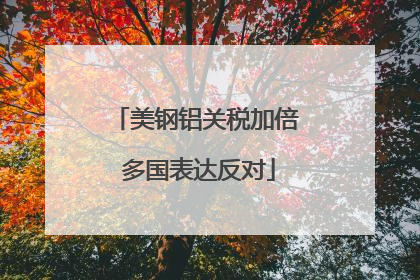 美钢铝关税加倍 多国表达反对
