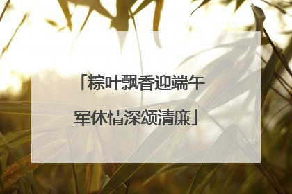 粽叶飘香迎端午 军休情深颂清廉