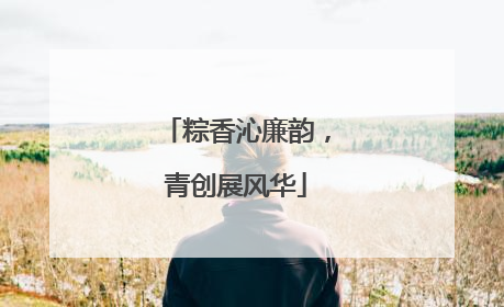 粽香沁廉韵，青创展风华