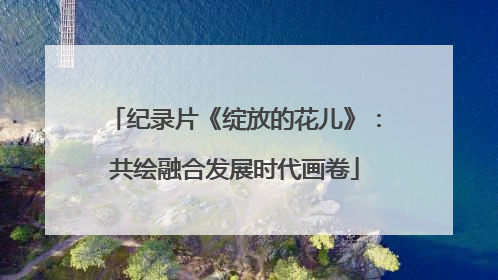 纪录片《绽放的花儿》：共绘融合发展时代画卷