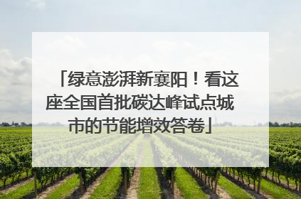 绿意澎湃新襄阳！看这座全国首批碳达峰试点城市的节能增效答卷