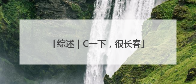 综述｜C一下，很长春