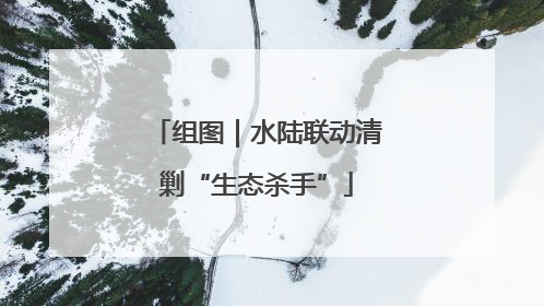 组图｜水陆联动清剿“生态杀手”