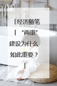 经济随笔丨“两重”建设为什么如此重要？