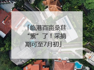 临港百亩桑葚“紫”了！采摘期可至7月初