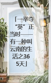 一举夺“葵”正当时——有一种叫云南的生活之365天