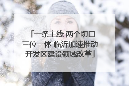 一条主线 两个切口 三位一体 临沂加速推动开发区建设领域改革