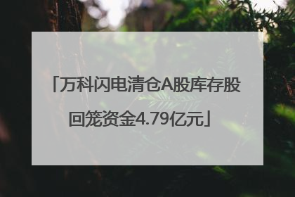 万科闪电清仓A股库存股 回笼资金4.79亿元