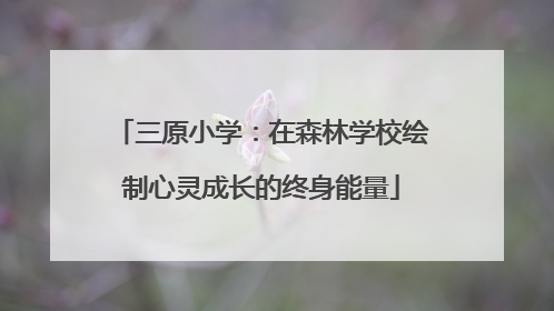 三原小学：在森林学校绘制心灵成长的终身能量
