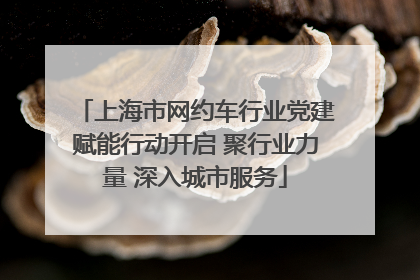 上海市网约车行业党建赋能行动开启 聚行业力量 深入城市服务