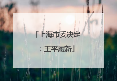 上海市委决定：王平履新