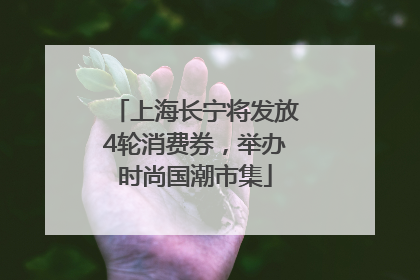 上海长宁将发放4轮消费券，举办时尚国潮市集