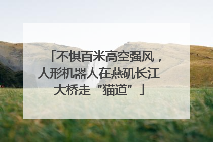 不惧百米高空强风，人形机器人在燕矶长江大桥走“猫道”
