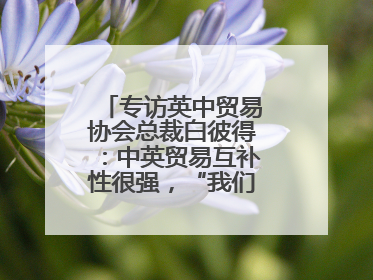 专访英中贸易协会总裁白彼得：中英贸易互补性很强，“我们没有歧视”