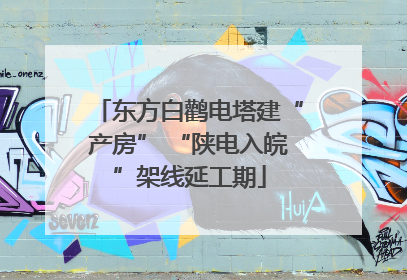东方白鹳电塔建“产房” “陕电入皖”架线延工期