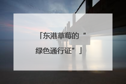 东港草莓的“绿色通行证”