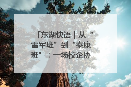 东湖快语｜从“雷军班”到“泰康班”：一场校企协同的“接力赛”