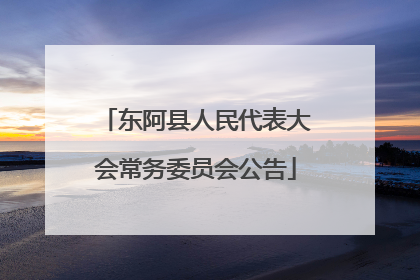 东阿县人民代表大会常务委员会公告