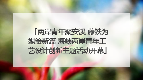 两岸青年聚安溪 藤铁为媒绘新篇 海峡两岸青年工艺设计创新主题活动开幕