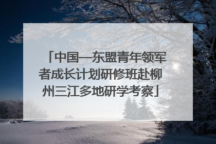 中国—东盟青年领军者成长计划研修班赴柳州三江多地研学考察