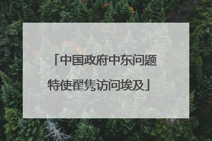 中国政府中东问题特使翟隽访问埃及