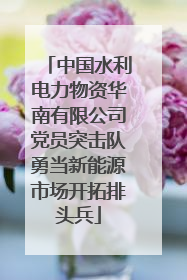 中国水利电力物资华南有限公司党员突击队勇当新能源市场开拓排头兵