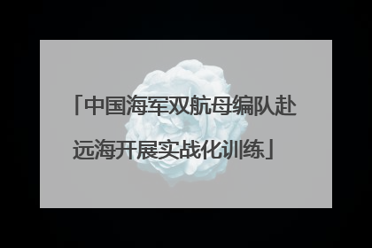 中国海军双航母编队赴远海开展实战化训练