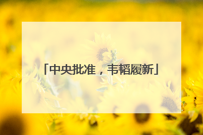 中央批准，韦韬履新
